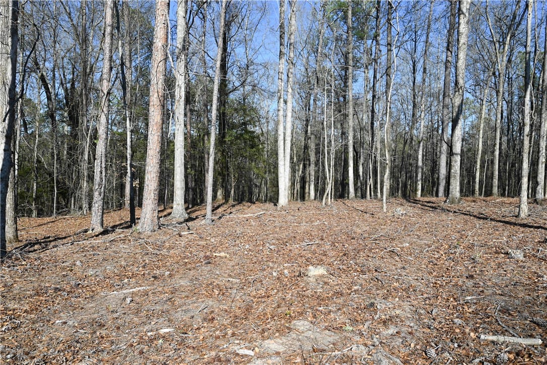 3675 RIDGELINE, Auburn, AL, 36830 — Photo 2