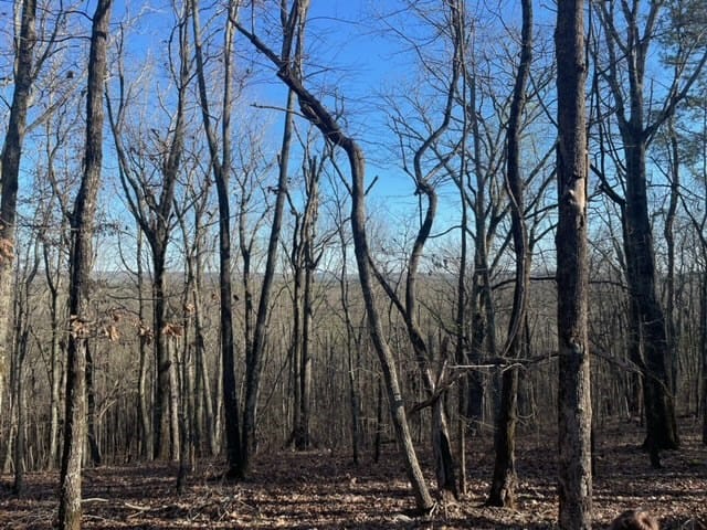 00Lot3 Mountain Ridge Drive, Waverly Hall, GA, 31831 — Photo 3