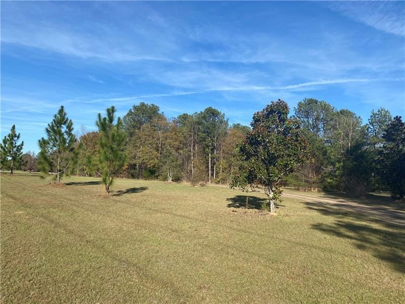 527 Nuchols Rd, Seale, AL, 36875 — Photo 3