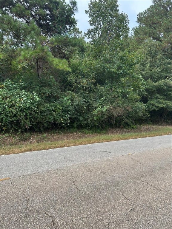 0 County Road 266, Five Points, AL, 36855 — Photo 2