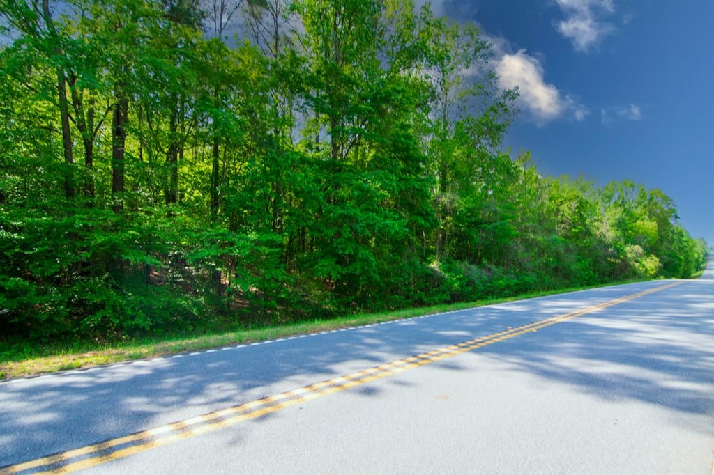 0 Highway 0036, Woodland, GA, 31836 — Photo 2