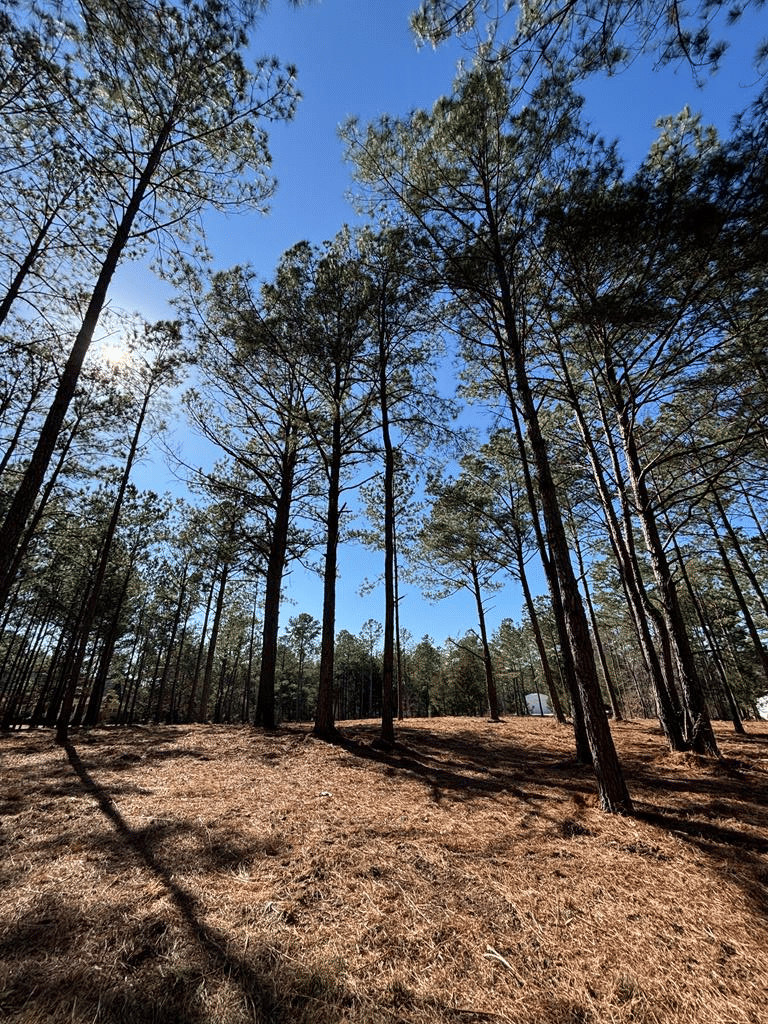 1047 Green Road, Ellaville, GA, 31806