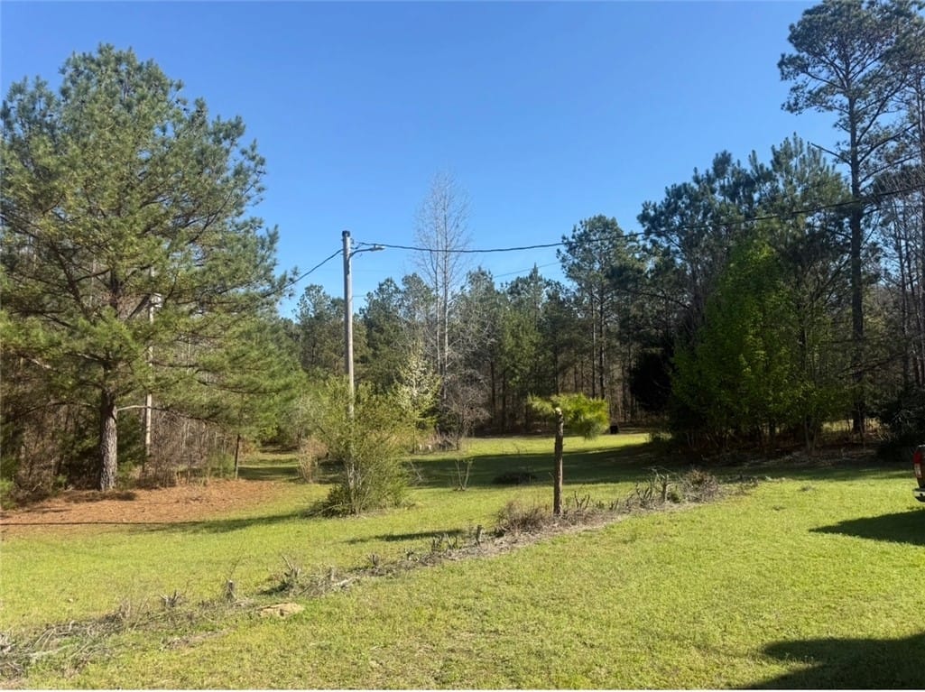 1010 LEE ROAD 134, Salem, AL, 36874 — Photo 2