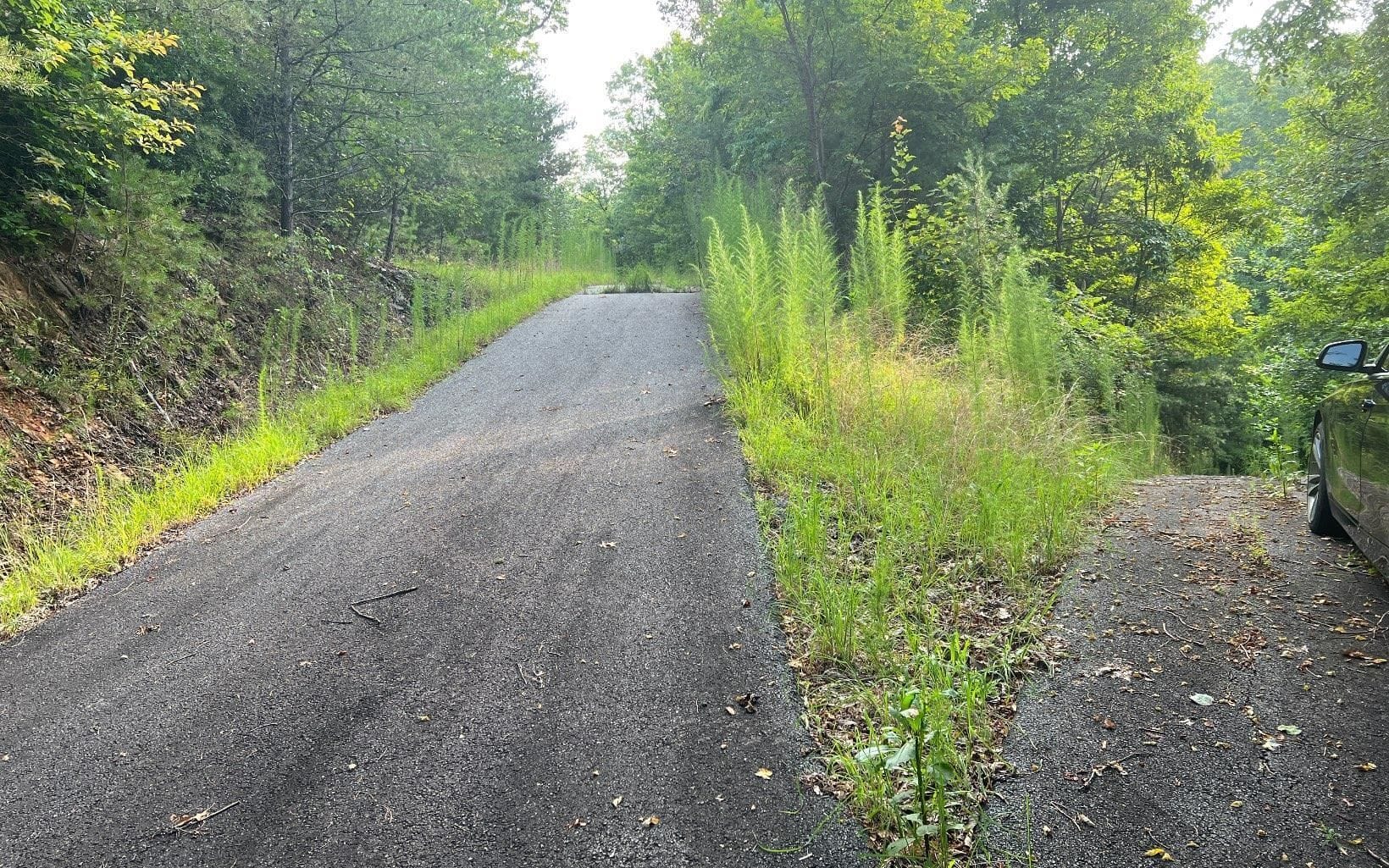 LOT 11 Preserve At Beach Mountain, Brasstown, NC, 28902