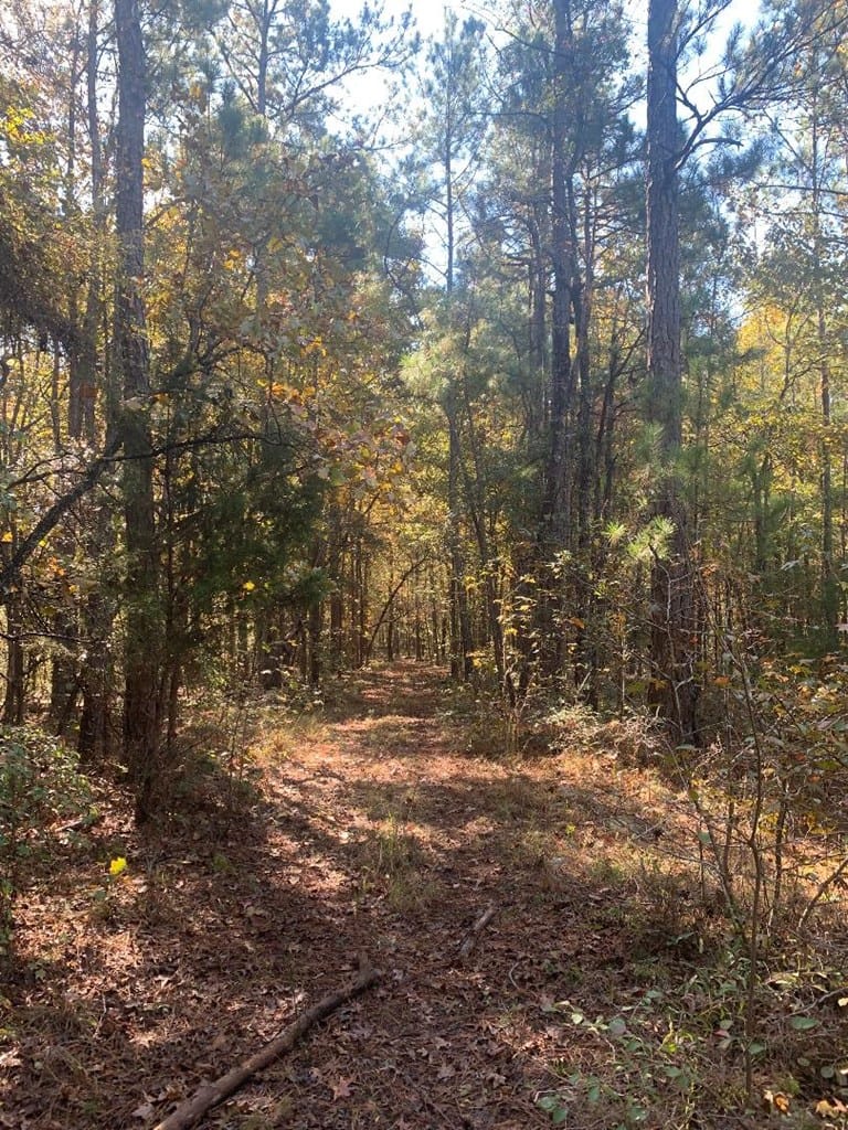 Lot 9 Tiger Way, Fortson, GA, 31808 — Photo 2