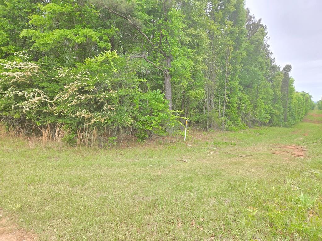 0 Oak Mountain Rd, Waverly Hall, GA 31831, Main View