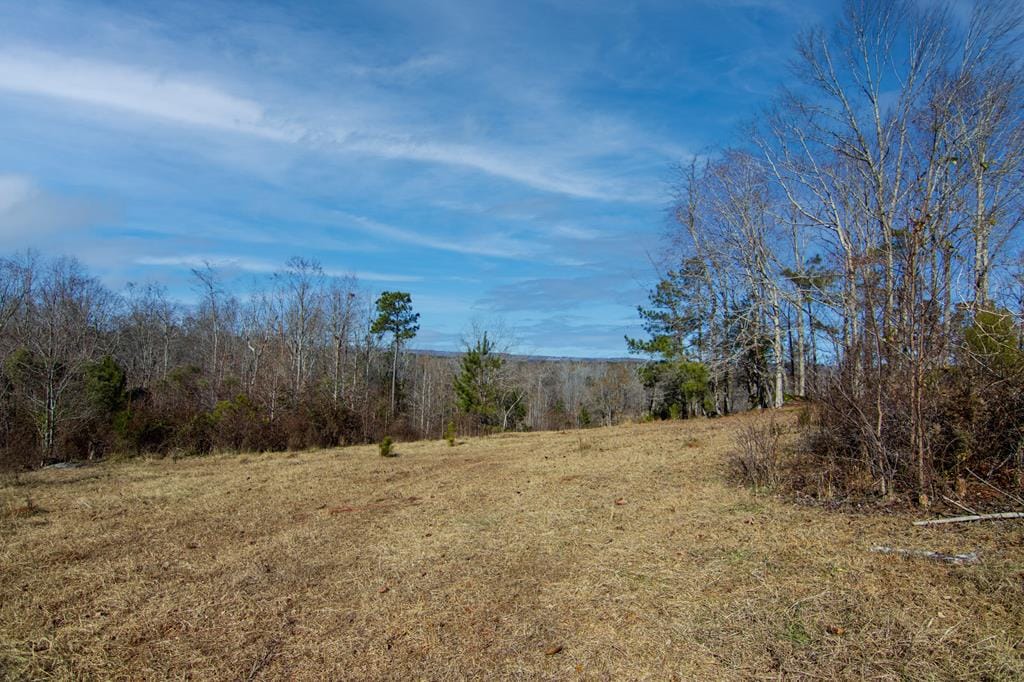 0 Chestnut Grove Road #0, Shiloh, GA, 31826
