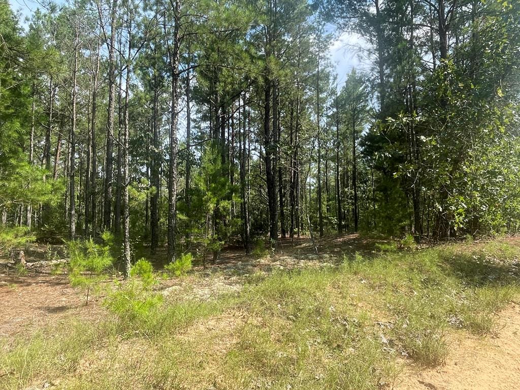 0 James Stubbs Road, Mauk, GA, 31058