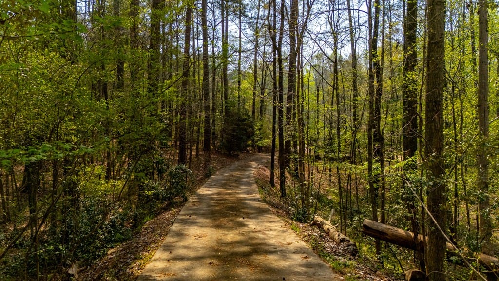 6907 Ranch Forest Drive, Columbus, GA, 31904 — Photo 3