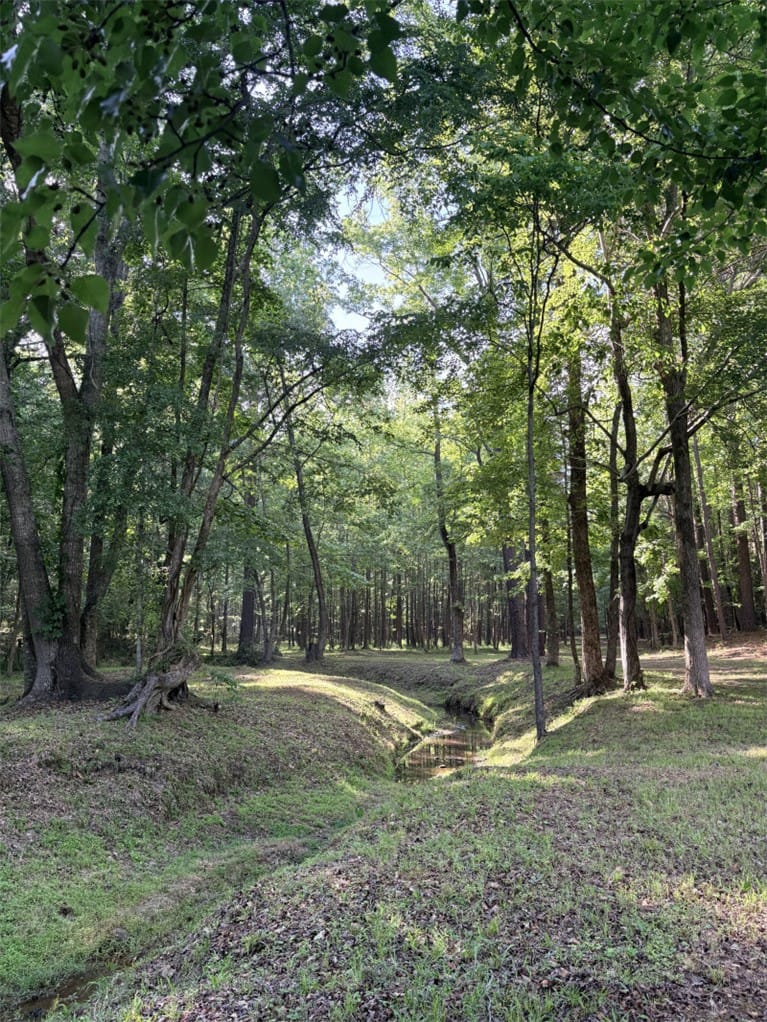 4602 Pebble Shore Drive, Opelika, AL, 36804