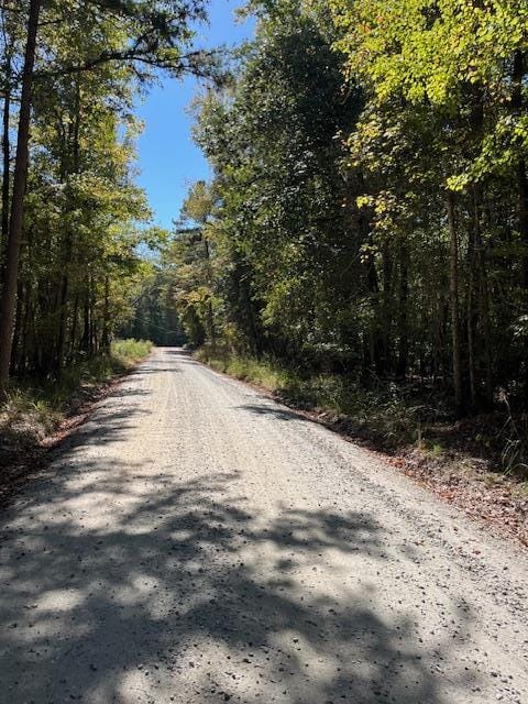 0 Diamond Road, Ellerslie, GA, 31831