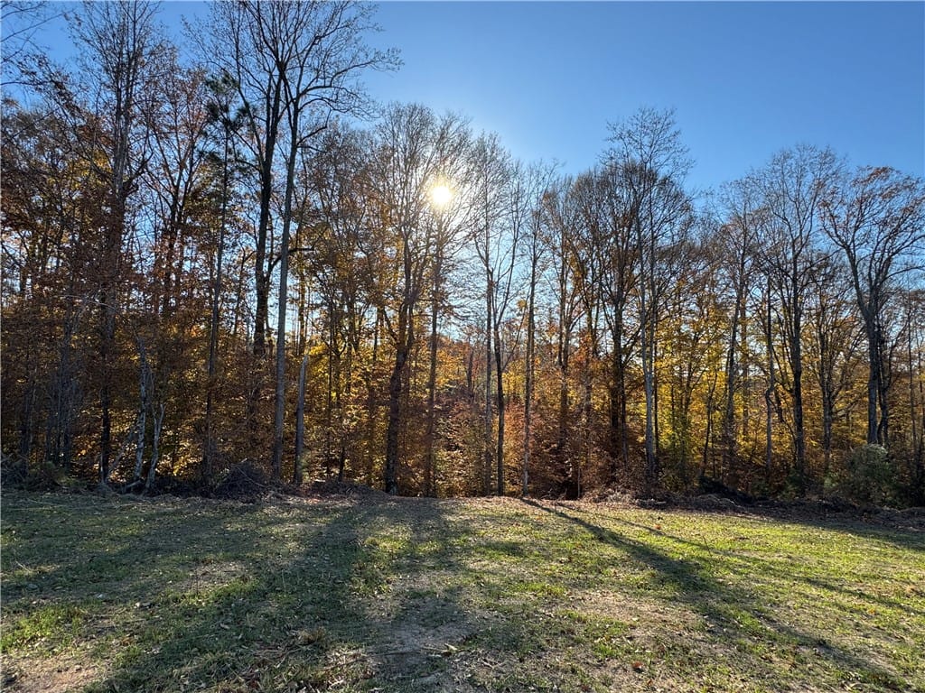 0 GERMANY'S FERRY, Daviston, AL, 36256 — Photo 2