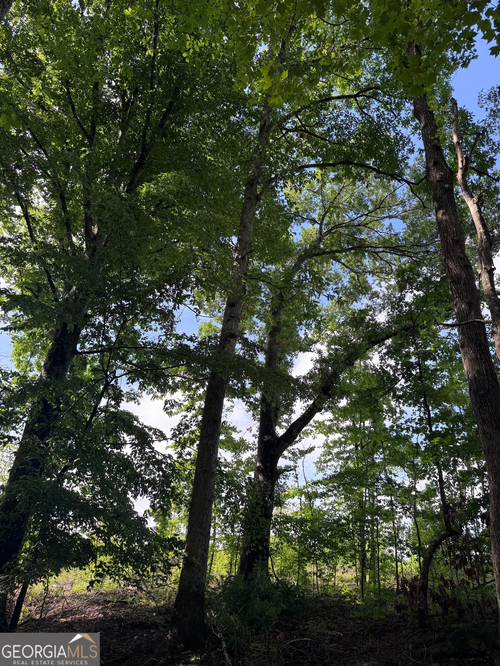 0 Po Biddy Rd, Talbotton, GA 31827