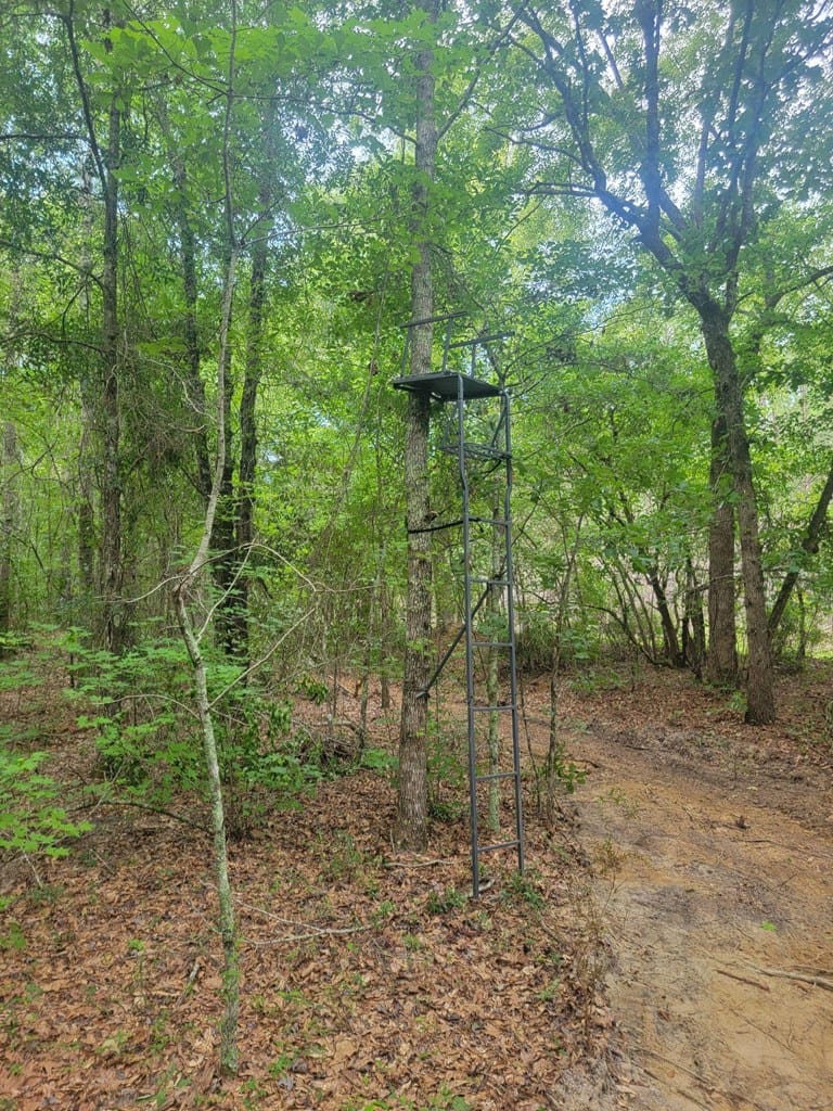 0 Stevens Crossing Road, Midville, GA, 30441 — Photo 2