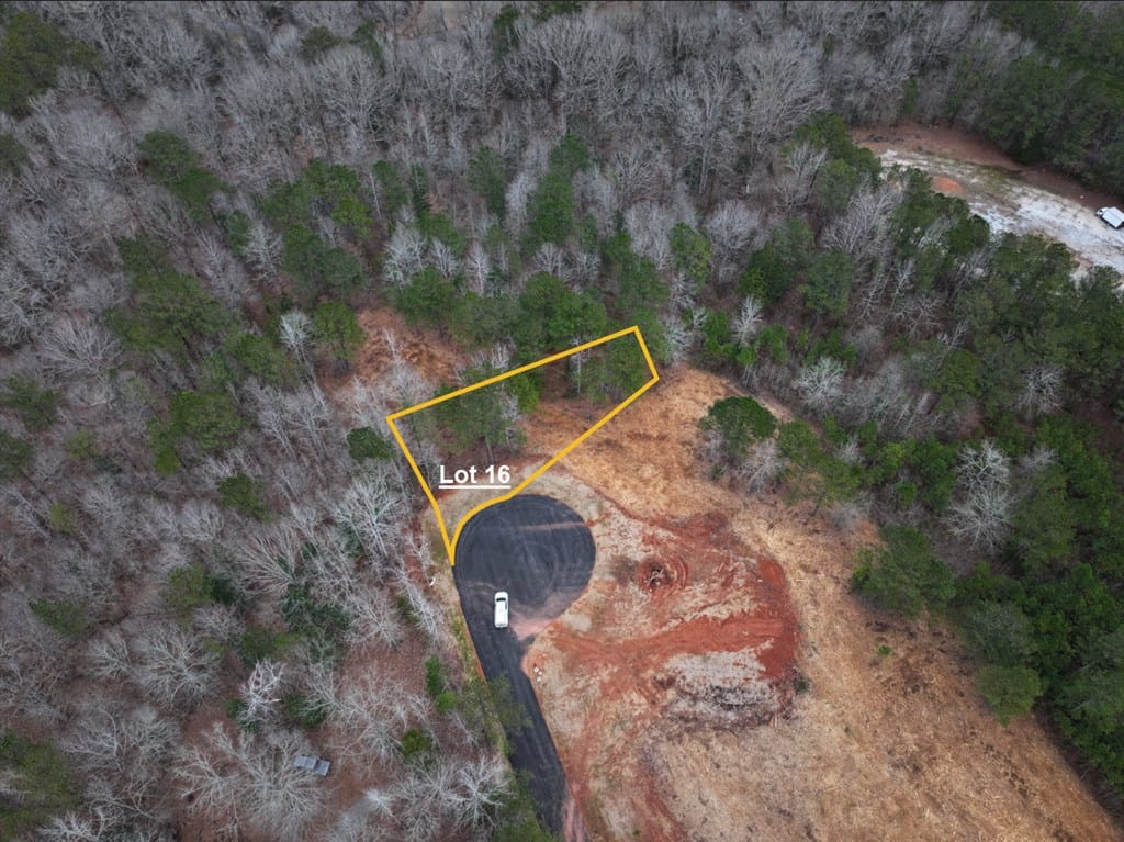 Lot 16 Young Lane, Hamilton, GA, 31811 — Photo 2