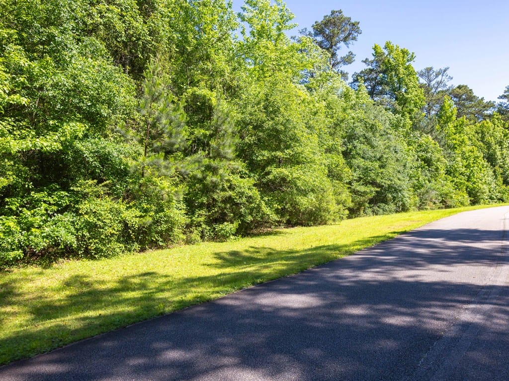 17 Hidden Lake Ct, Pine Mountain, GA 31822