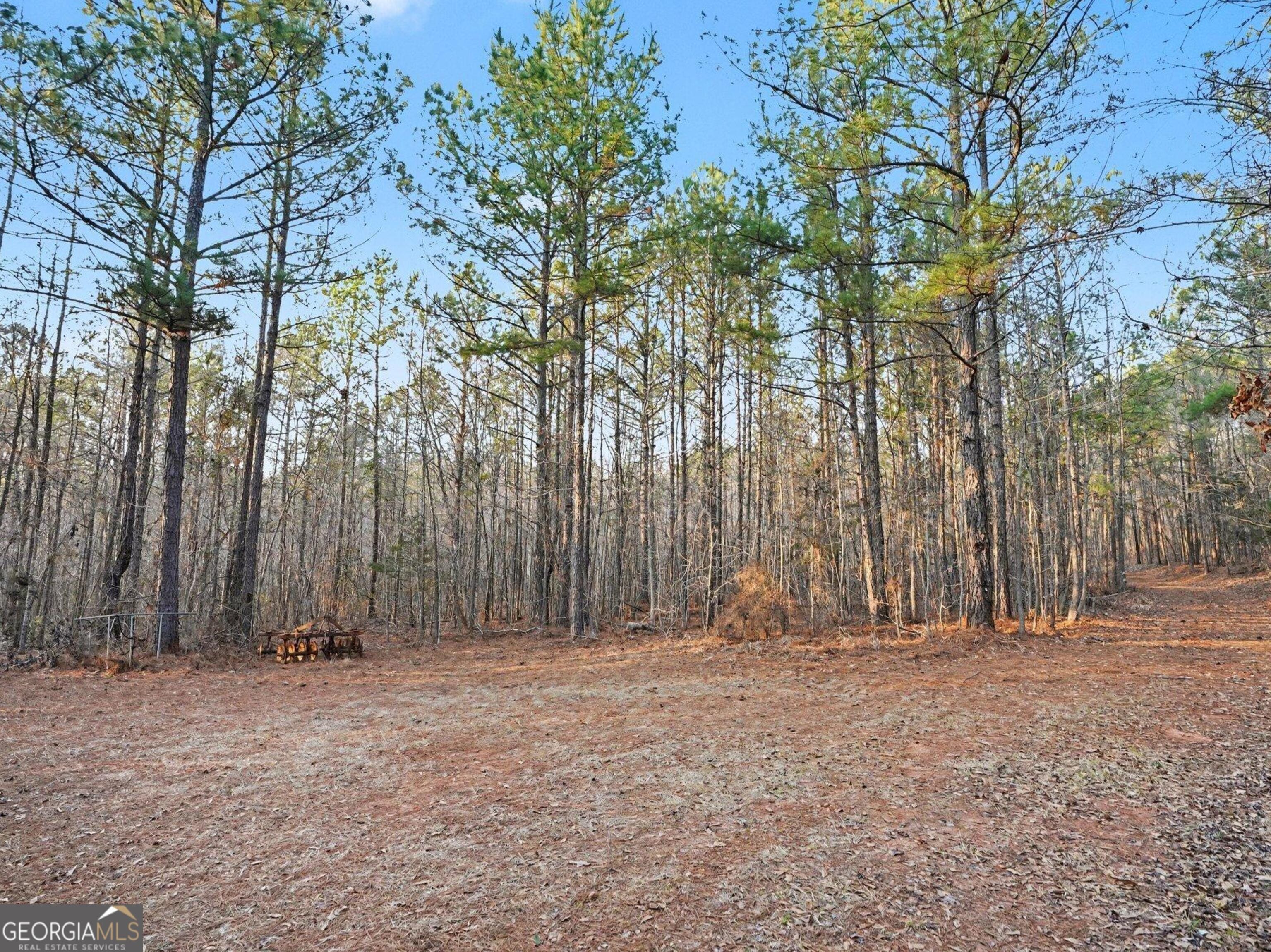 0 Logtown Rd, Yatesville, GA 31097