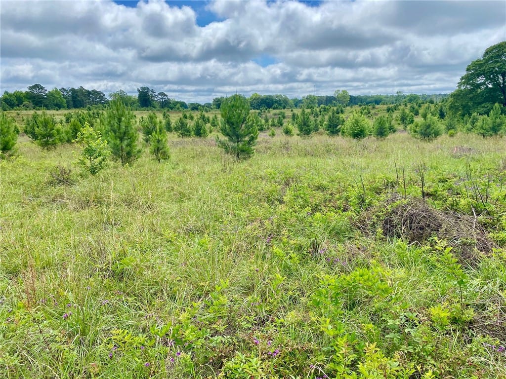 12977 Lee County Road 72, Camp Hill, AL, 36850