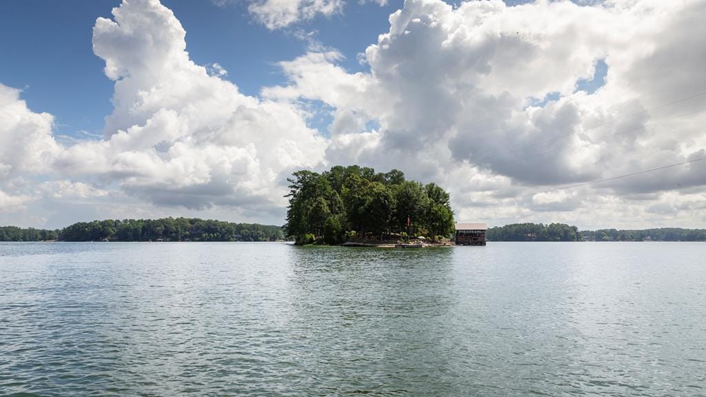 215 Lee Road 0342, Salem, AL, 36874 — Photo 3