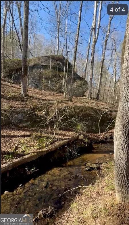 6741 Co Rd 87, Roanoke, AL 36274, USA