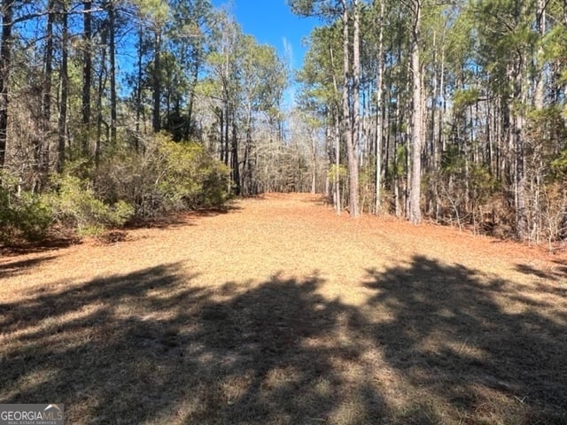 477 Cosby, Junction City, GA, 31812