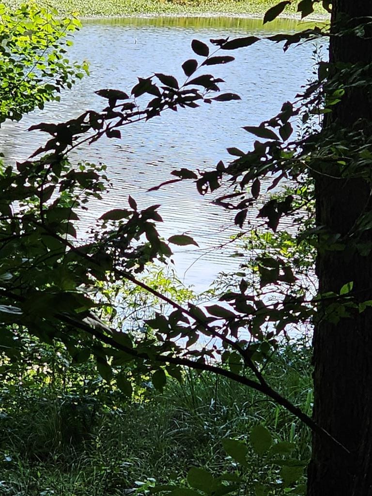LOT21F Lakeshore Drive, Waverly Hall, GA, 31831