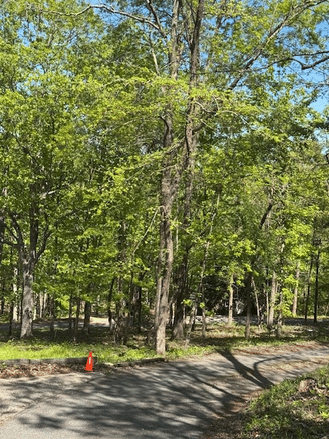 0 Royal Lodge Drive, Warm Springs, GA, 31830 — Photo 3