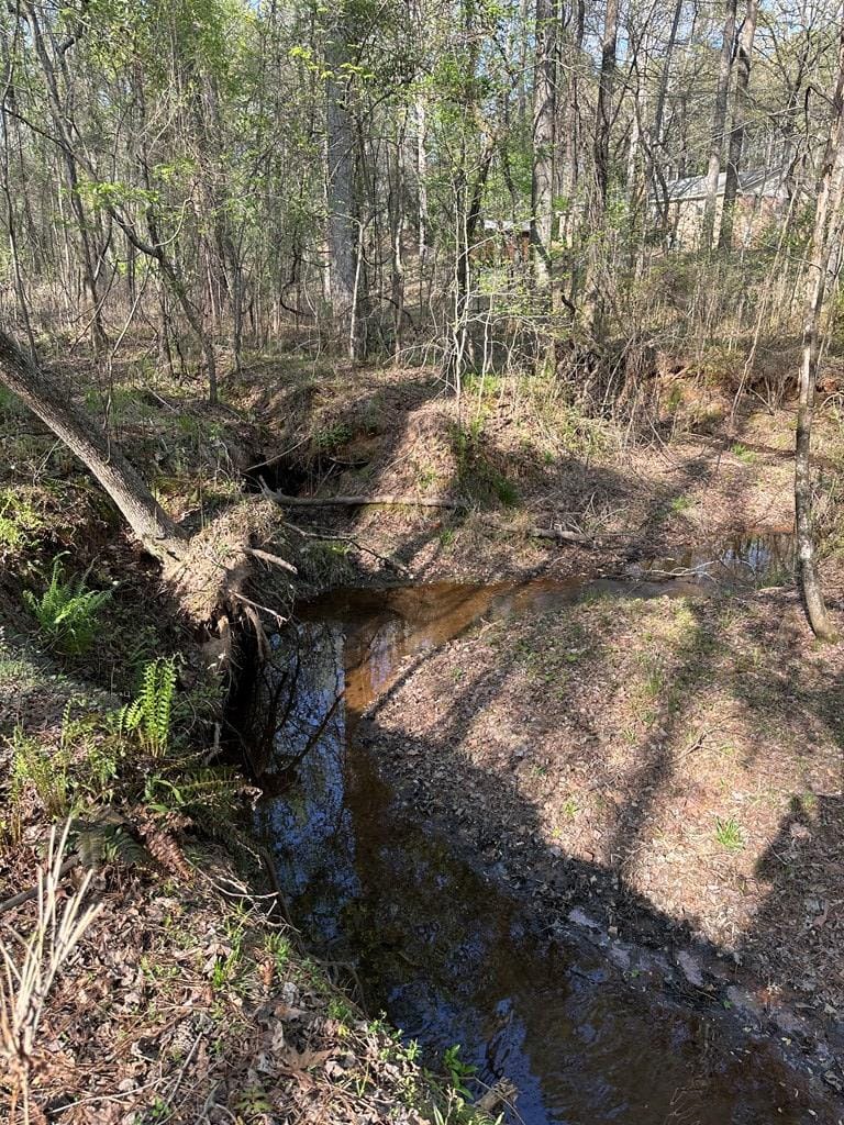 Lot 19 Highway 0085, Waverly Hall, GA, 31831