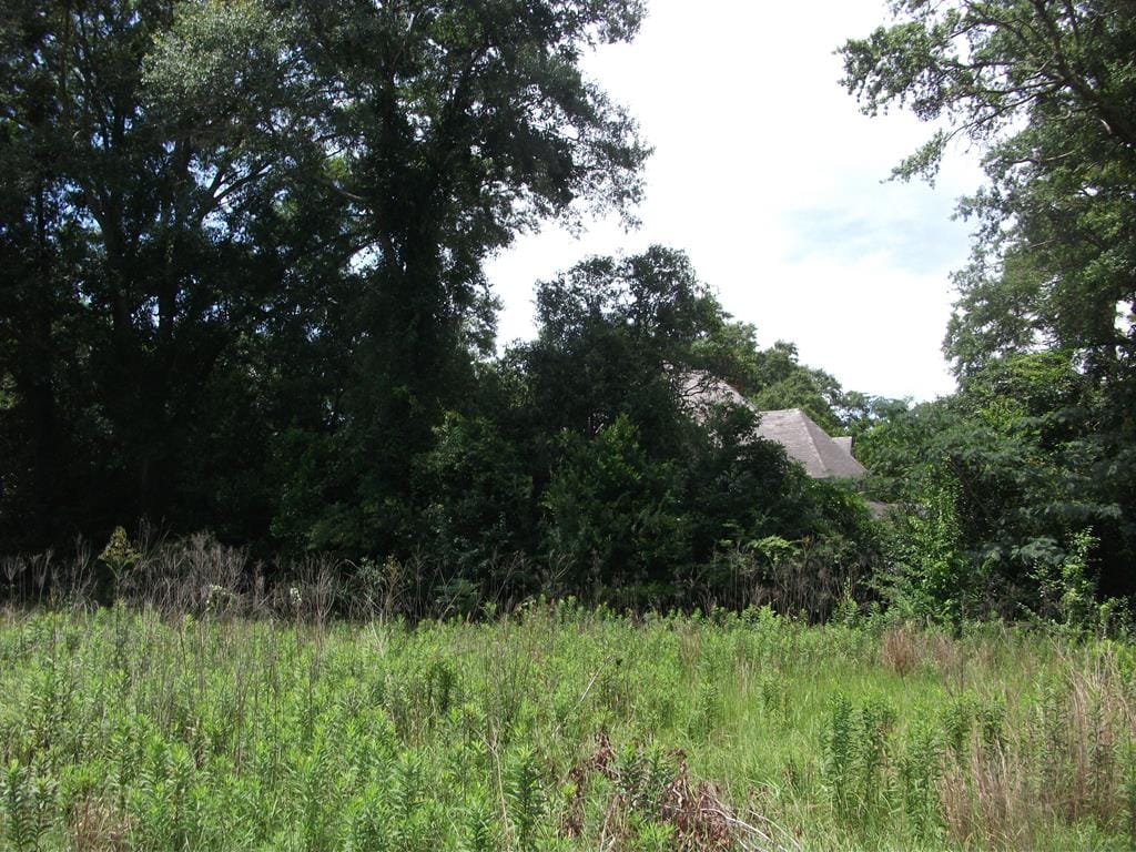 837 Wall St, Richland, GA 31825
