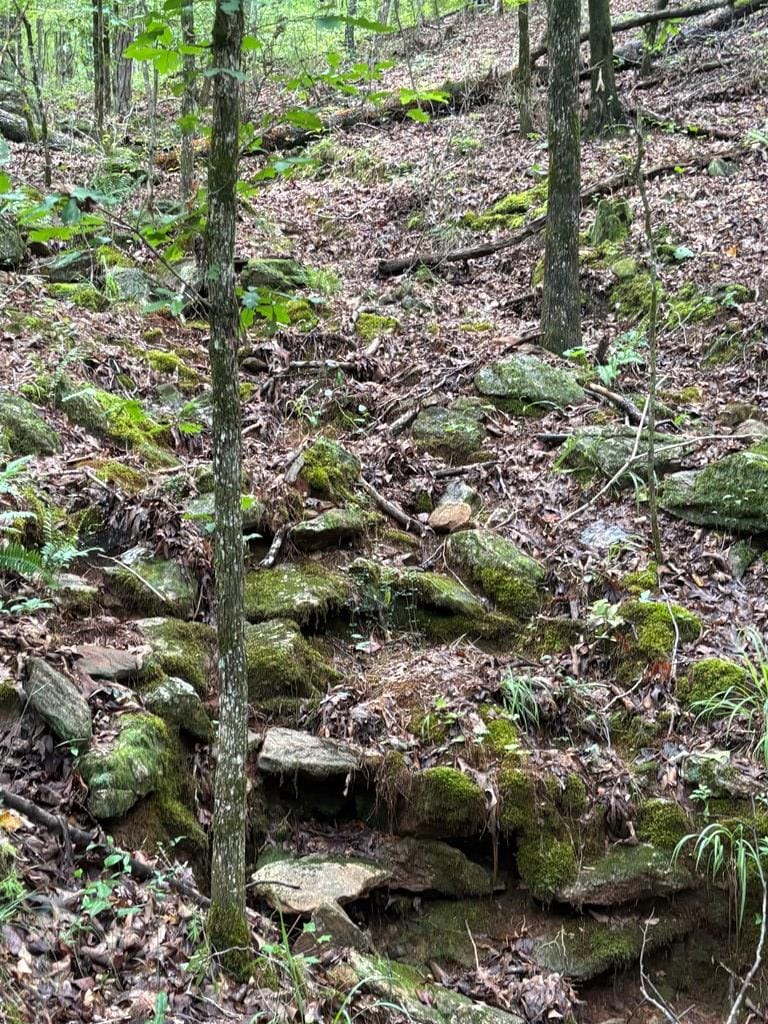 101 Indian Mountain Trail, Hamilton, GA, 31811 — Photo 3