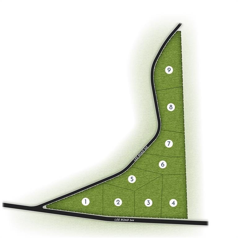 3 Lee Road 344, Salem, AL, 36874 — Photo 2