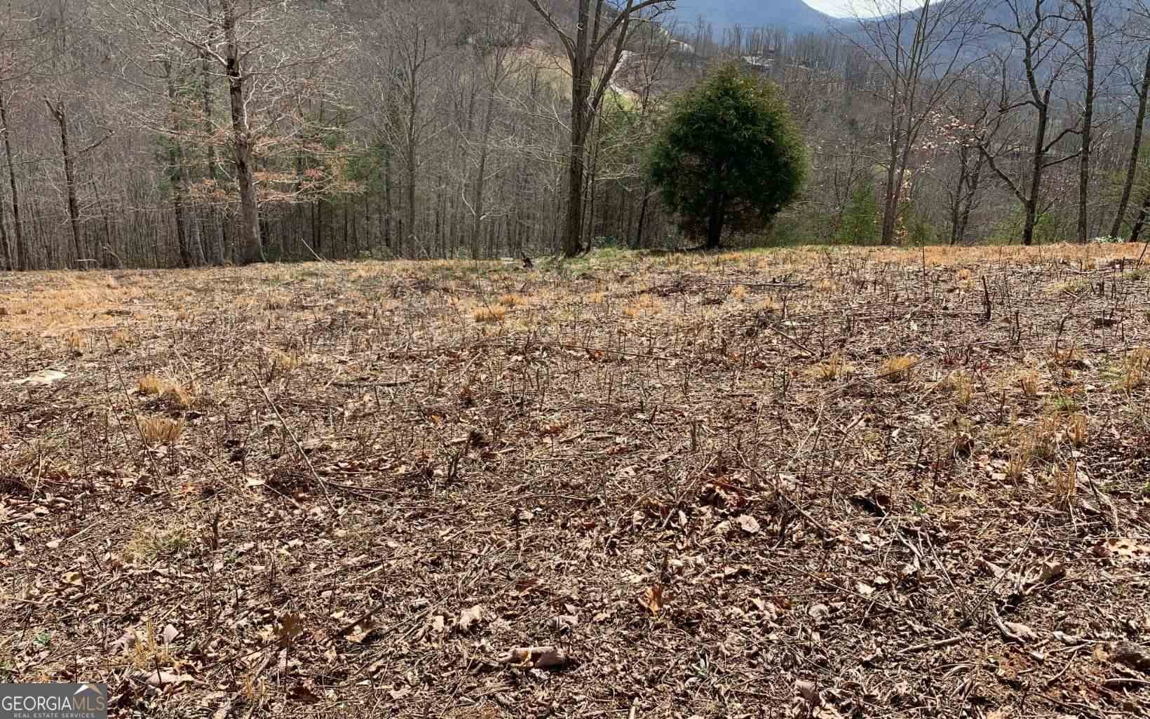 42 Dan Knob Dr, Hayesville, NC 28904