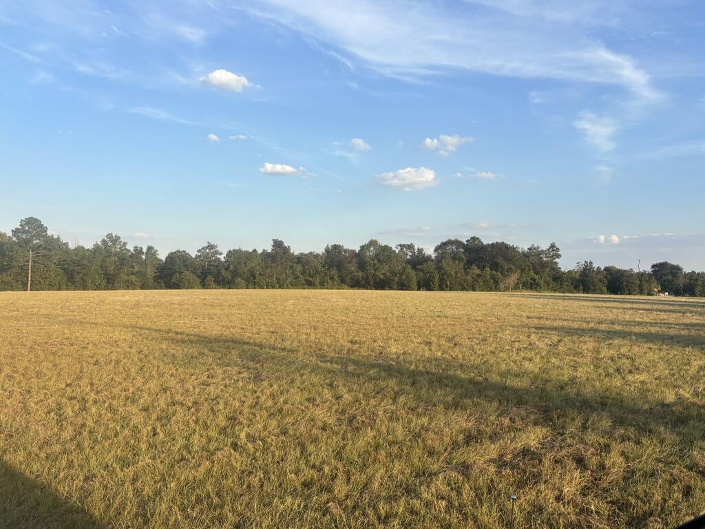63 Hayes Rd, Mauk, GA 31058