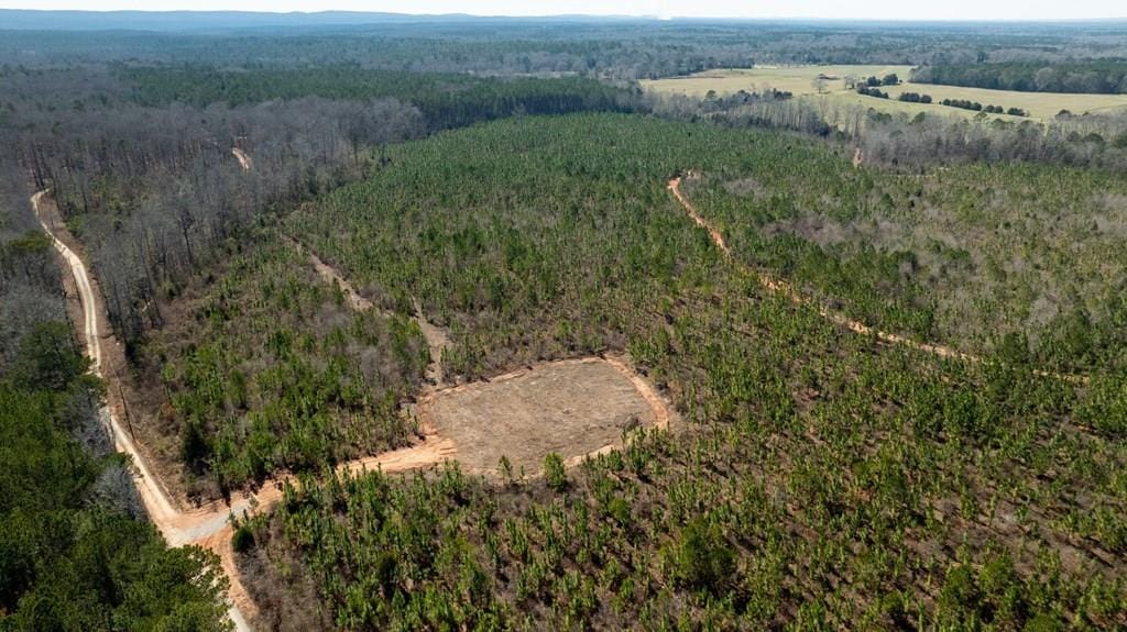 0 (Lot 3B) Highway 0018, Pine Mountain, GA, 31822