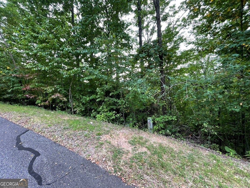 32 Mountain Harbour Dr, Hayesville, NC 28904