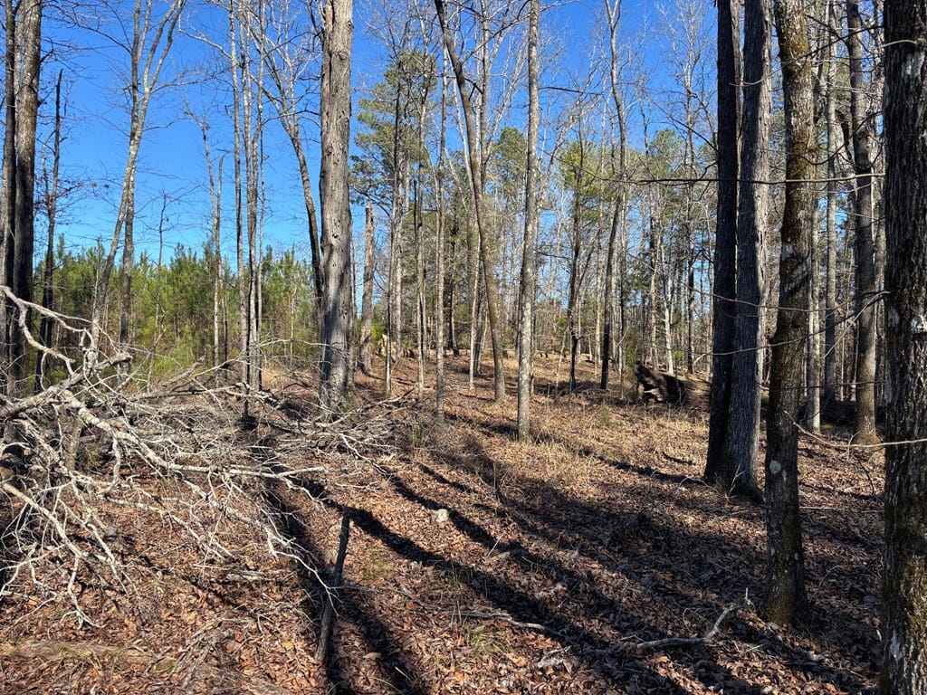 00 Carl Mathis Road, Talbotton, GA, 31827 — Photo 2