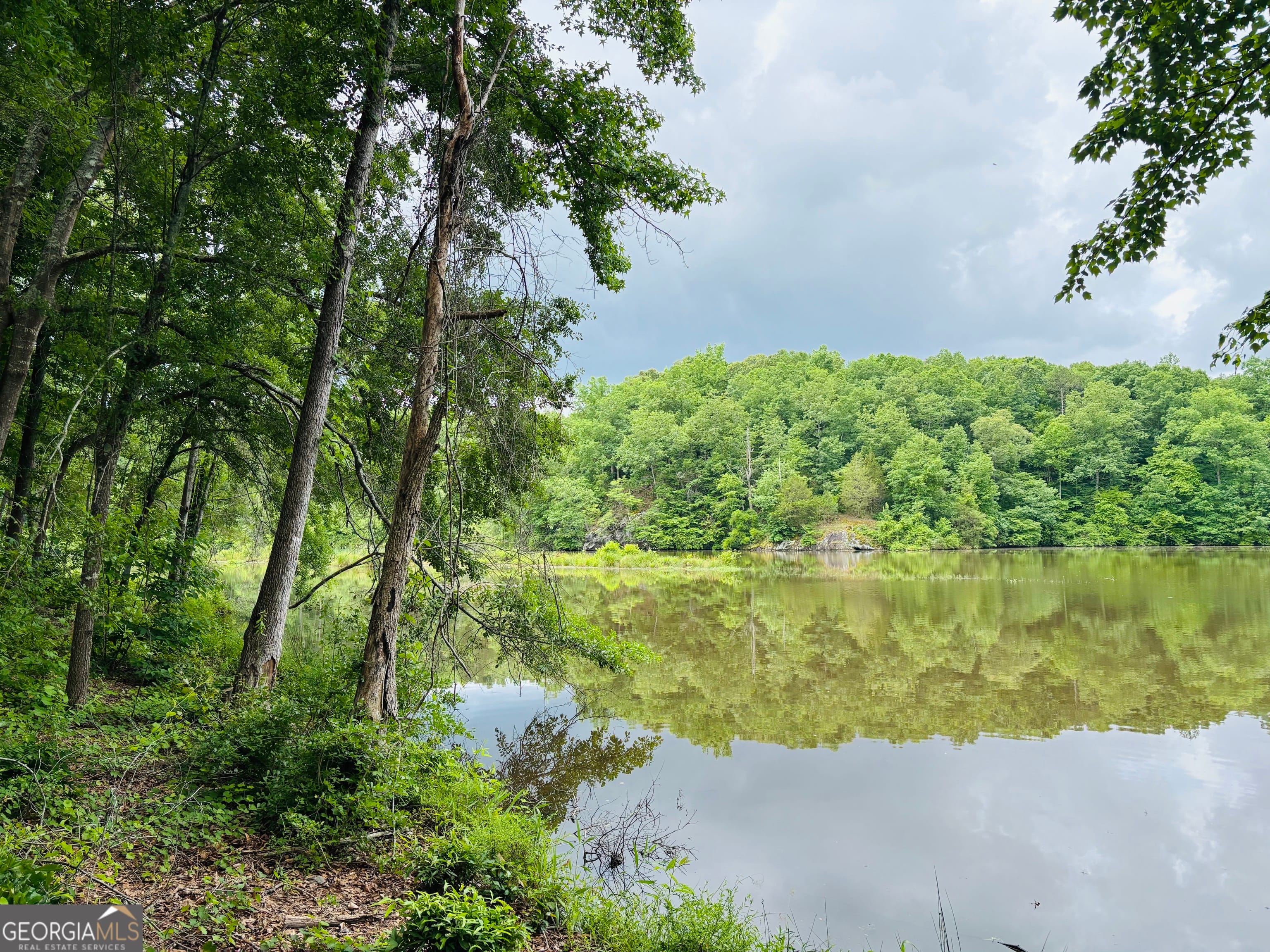 LOT 8 County Road 499, Woodland, AL, 36280