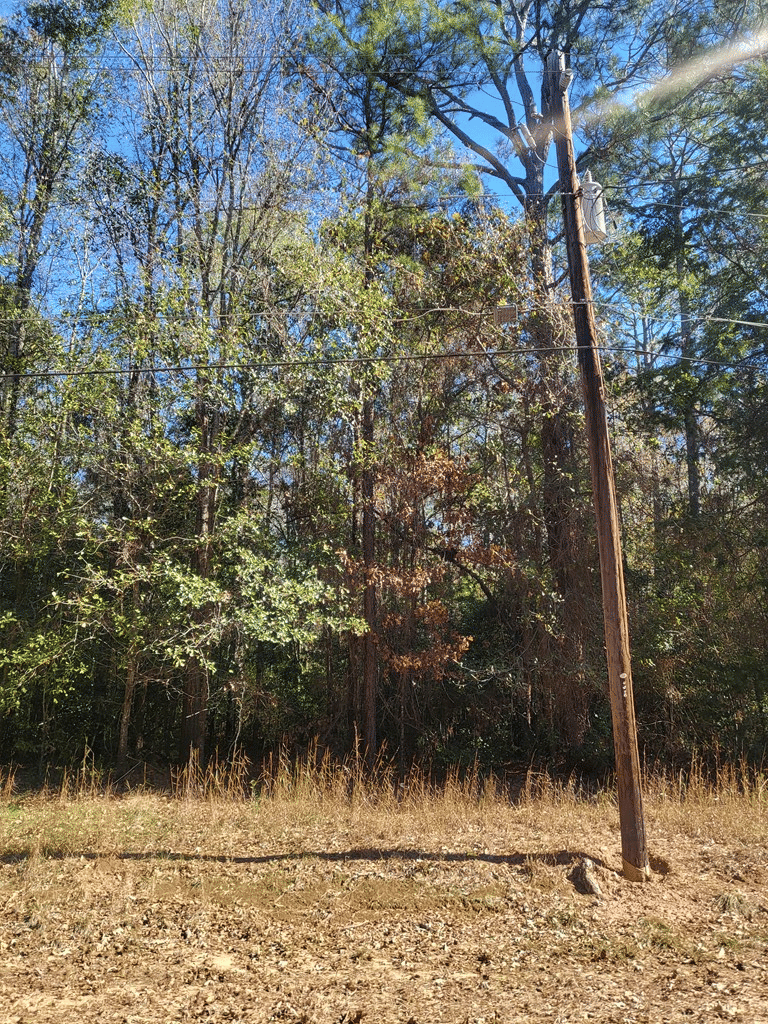 Lumpkin St, Albany, GA 31705, USA