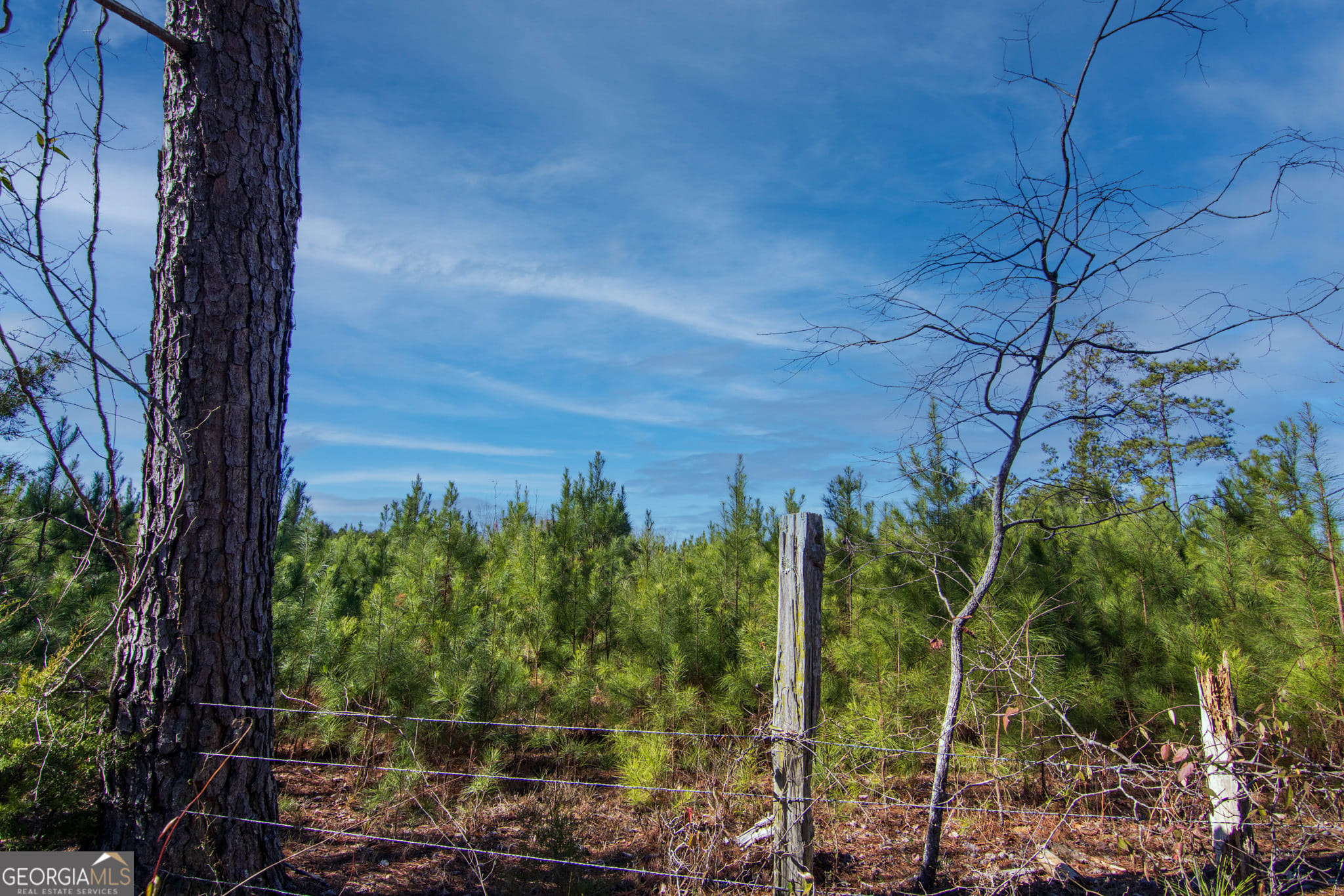 0 Chestnut Grove Rd, Shiloh, GA 31826