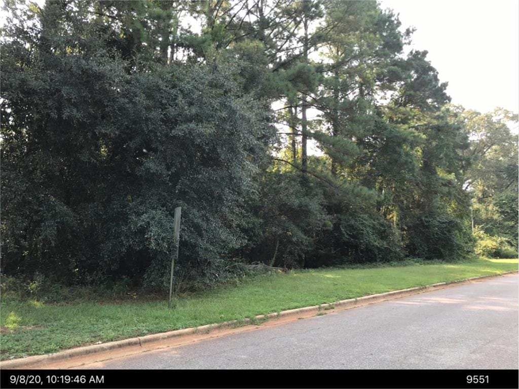 Grand Island Dr, Leesburg, GA 31763