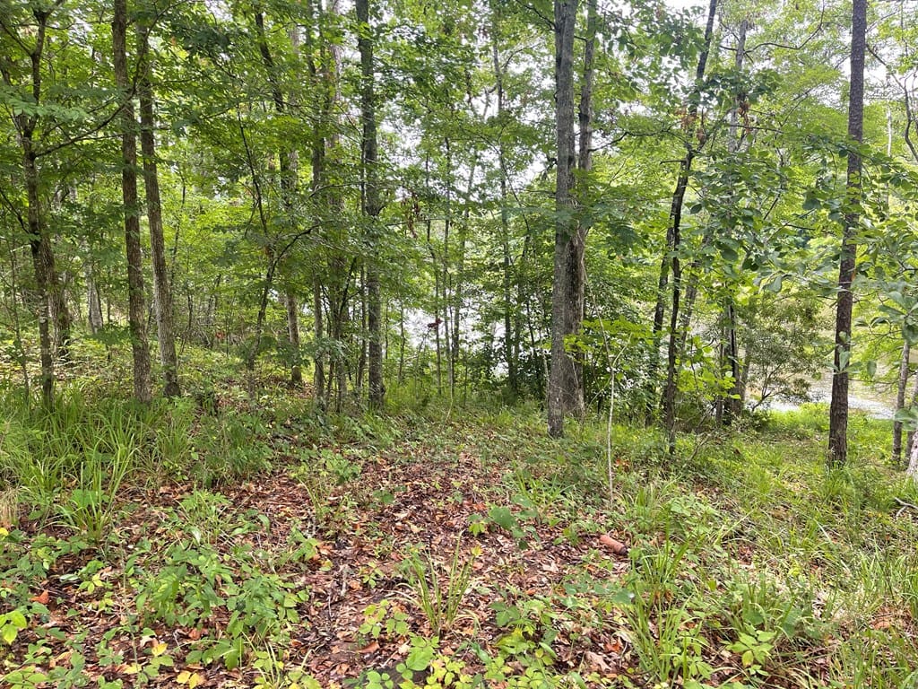 0 Halley Street, Fortson, GA, 31808 — Photo 3