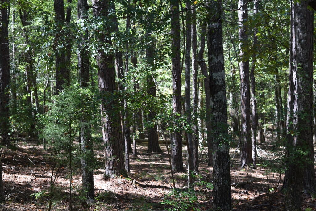 0 Red Oak Lane, Pine Mountain, GA 31822