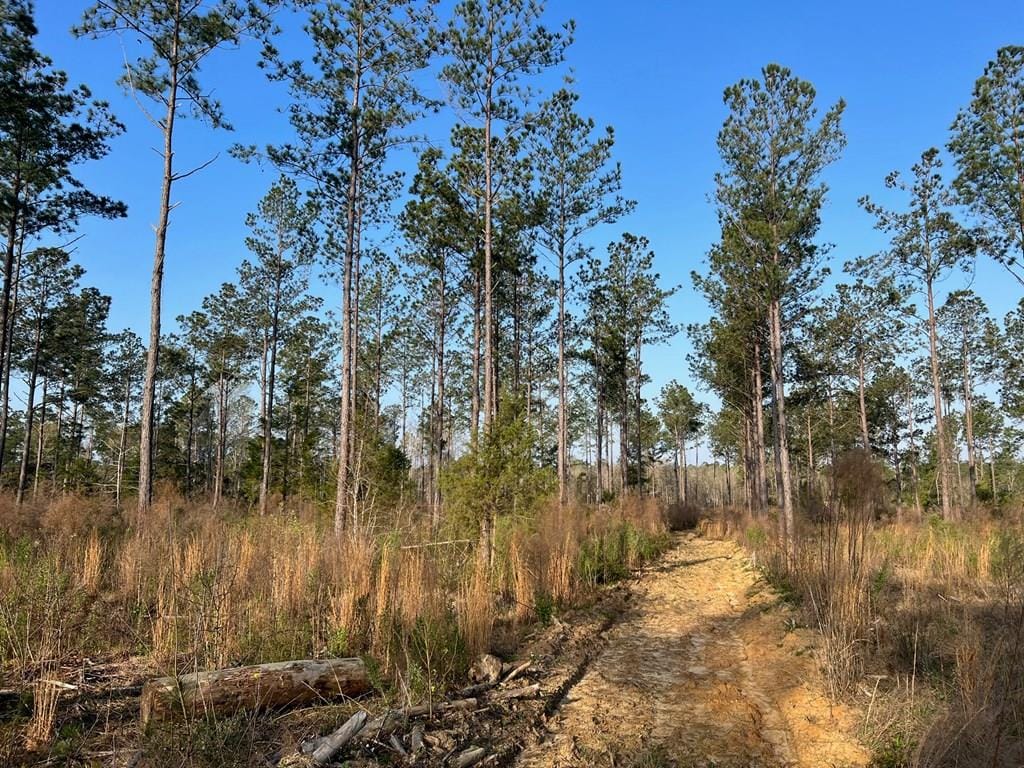 0 Flowers Drive, Blakely, GA, 39823