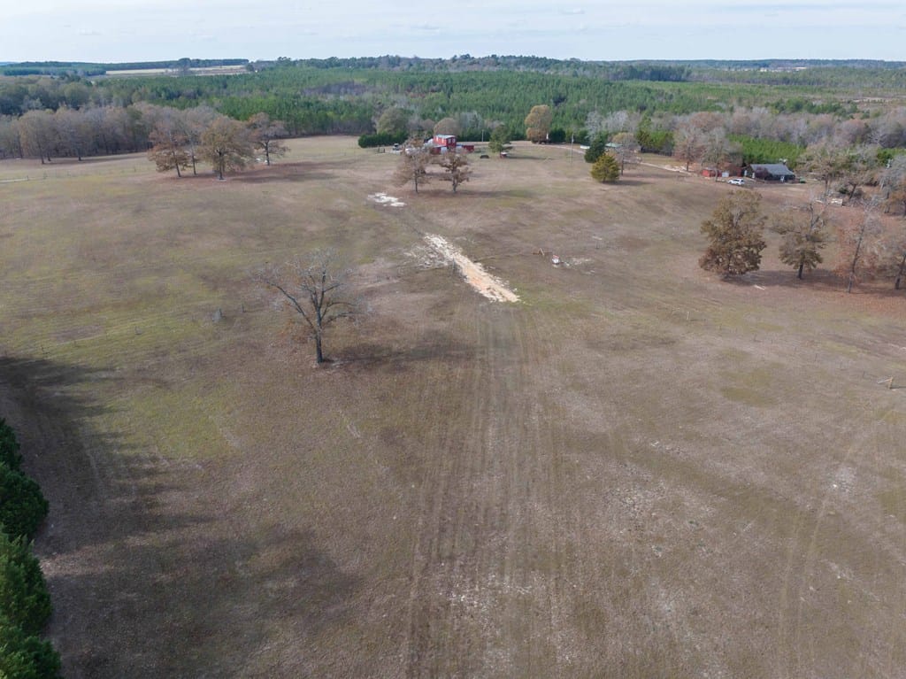 Buena Vista, GA 31803
