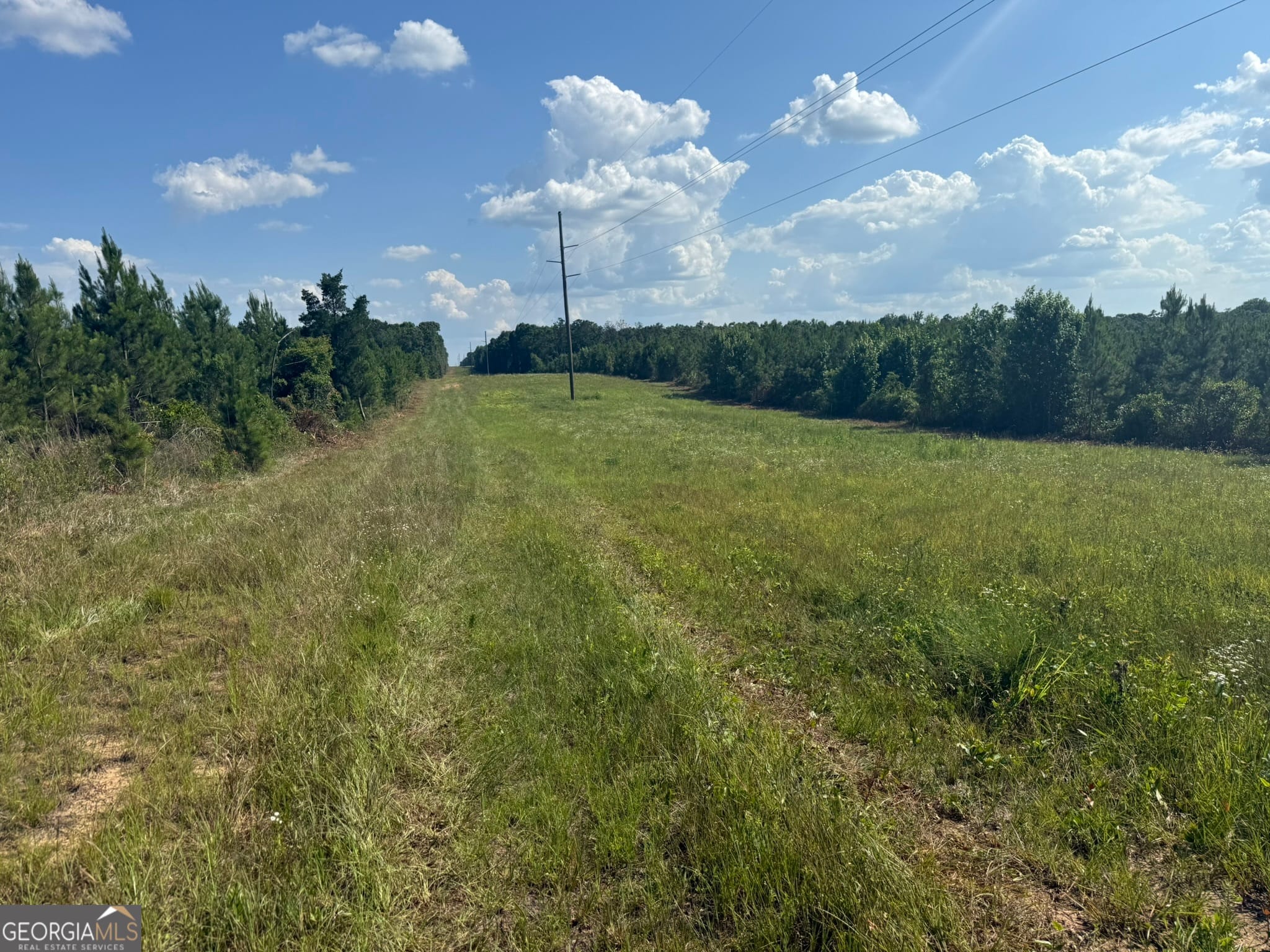 9 George Milling Road, Cuthbert, GA, 39840
