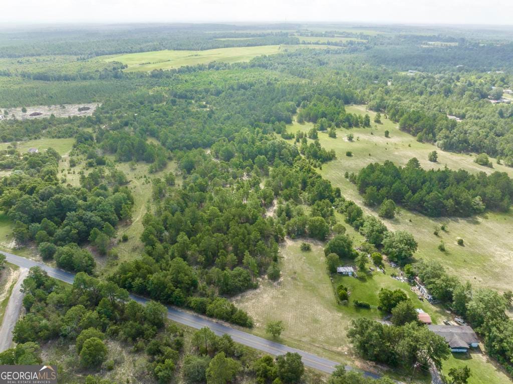 0 Georgia Rd, Butler, GA 31006