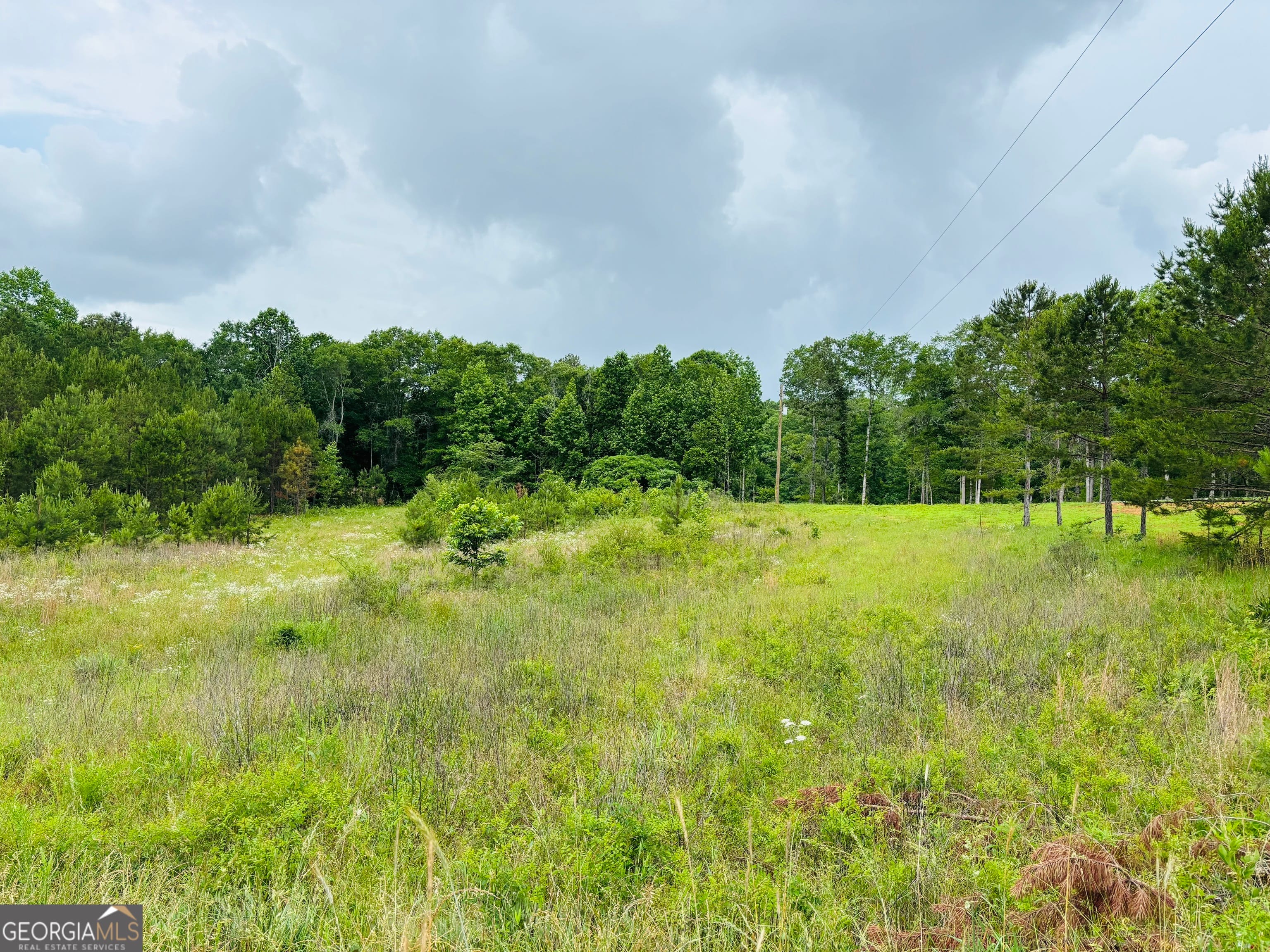 LOT 8 County Road 499, Woodland, AL, 36280