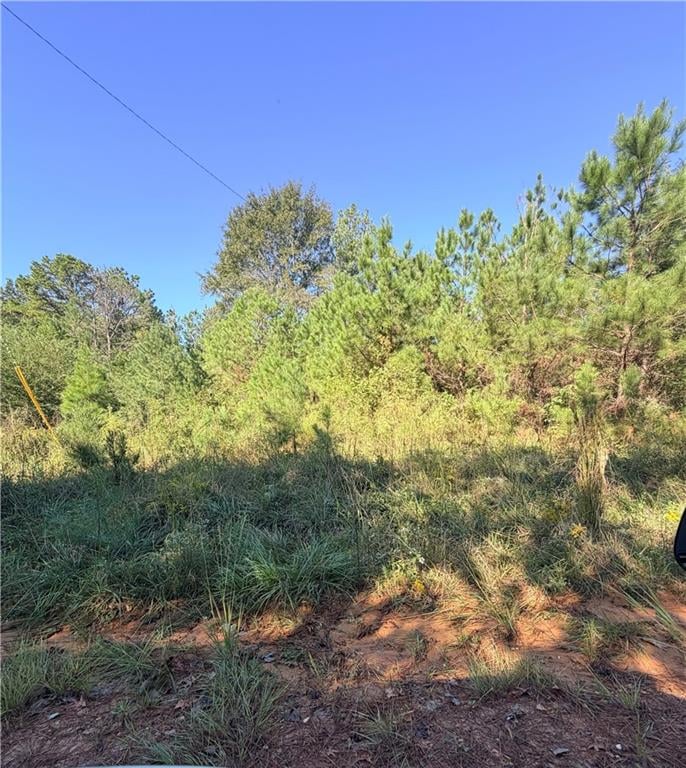 0 McCall Rd, Clayton, AL, 36016