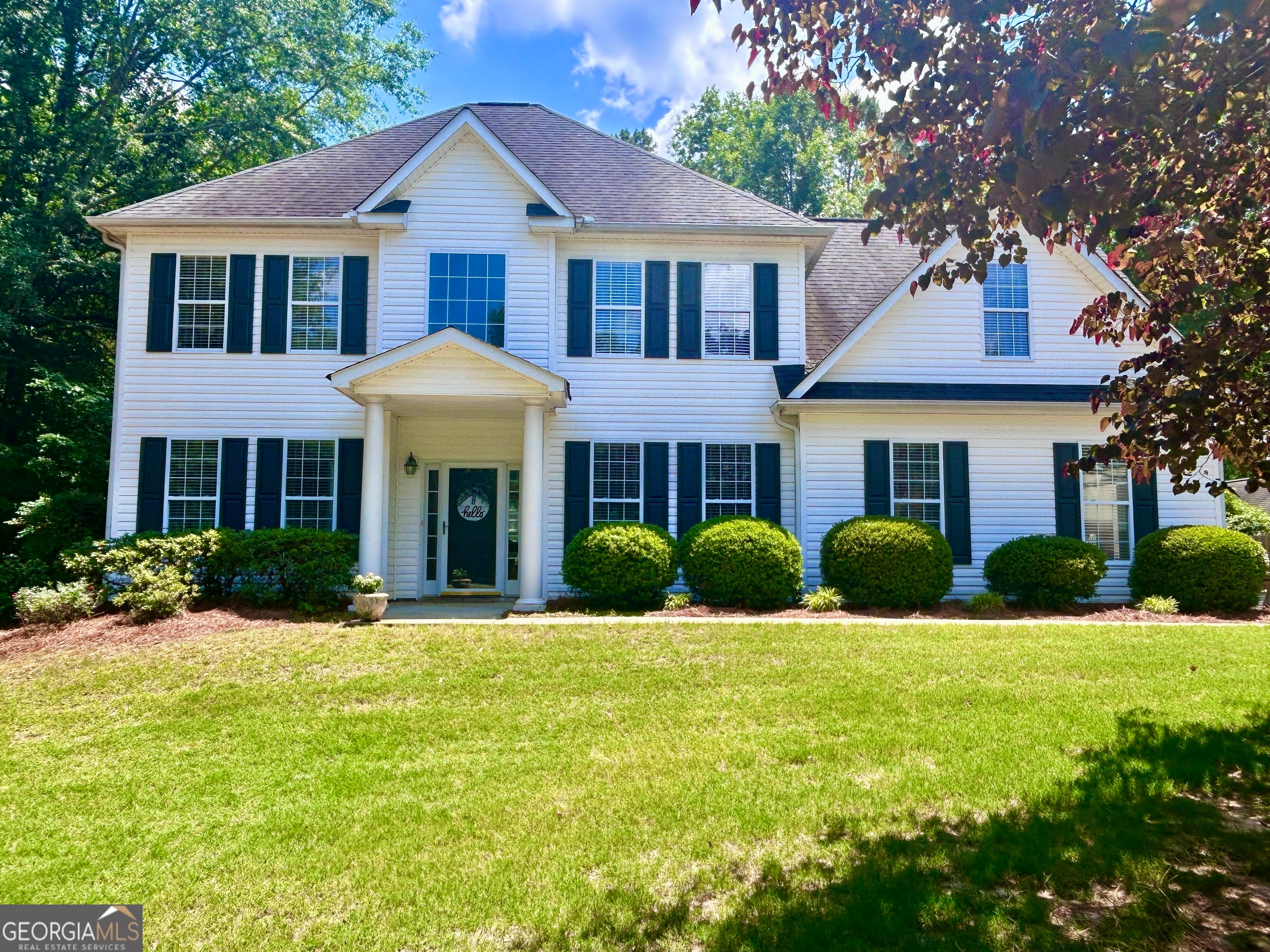 115 Leesburg Plantation Drive, Sharpsburg, GA, 30277