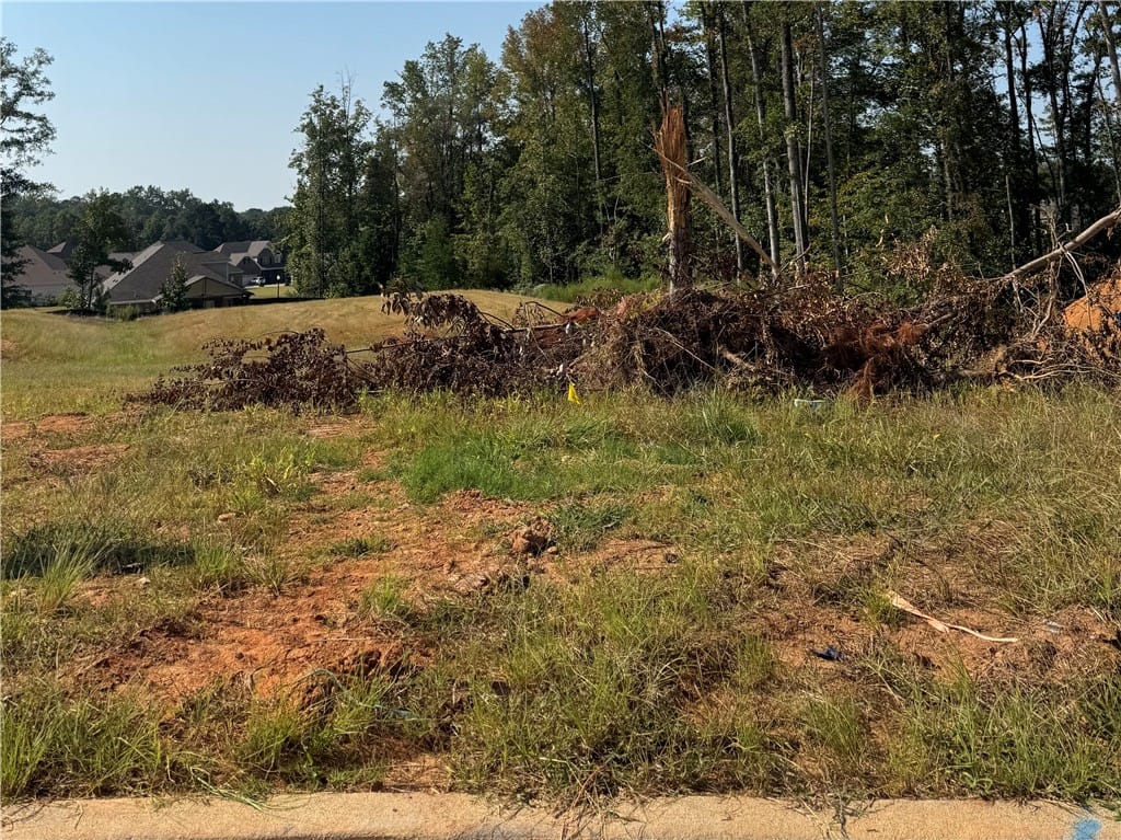 Long Leaf Ln, Opelika, AL 36801